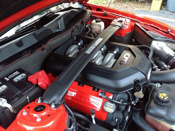 2010-2014 Ford Mustang S-197 Gen II Lets see your latest Pics PHOTO GALLERY-image-844269751.jpg