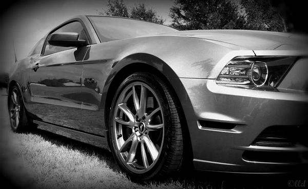 2010-2014 Ford Mustang S-197 Gen II Lets see your latest Pics PHOTO GALLERY-1235408_10201894600945471_853120731_n.jpg