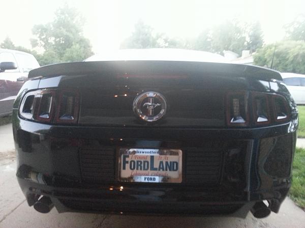 2014 Ordered/Built/Delivered Thread-2014mustang2.jpg