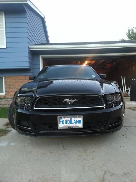 2014 Ordered/Built/Delivered Thread-2014-mustang.jpg
