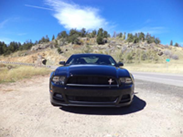 2010-2014 Ford Mustang S-197 Gen II Lets see your latest Pics PHOTO GALLERY-stellaforum1.jpg