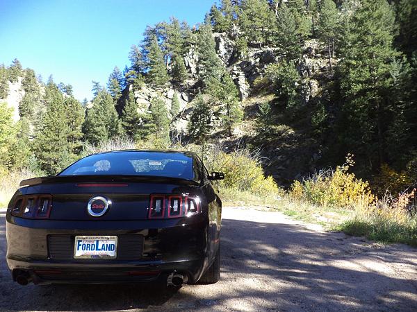 2010-2014 Ford Mustang S-197 Gen II Lets see your latest Pics PHOTO GALLERY-stellaforum2.jpg