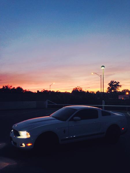 2010-2014 Ford Mustang S-197 Gen II Lets see your latest Pics PHOTO GALLERY-image-372395235.jpg