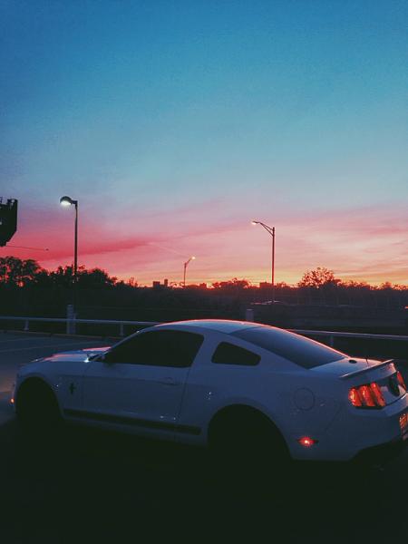 2010-2014 Ford Mustang S-197 Gen II Lets see your latest Pics PHOTO GALLERY-image-1463533462.jpg