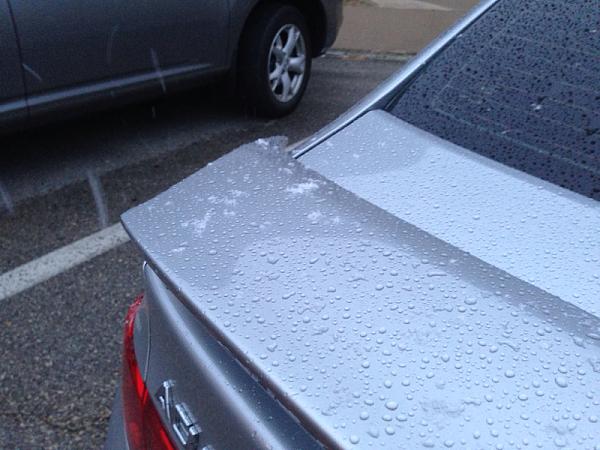 What are your winter plans?-image-2342172728.jpg