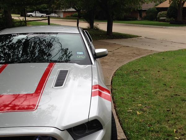 Eleanor louvers installed!-photo-4.jpg