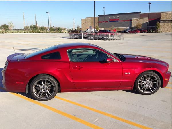 2010-2014 Ford Mustang S-197 Gen II Lets see your latest Pics PHOTO GALLERY-ruby14.jpg