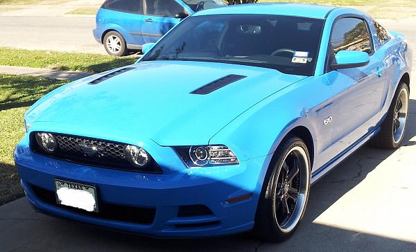 2010-2014 Ford Mustang S-197 Gen II Lets see your latest Pics PHOTO GALLERY-5.0.jpg