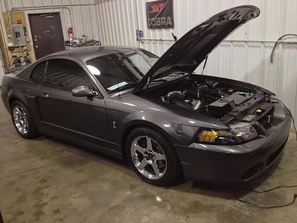 2010-2014 Ford Mustang S-197 Gen II Lets see your latest Pics PHOTO GALLERY-image-2857368415.jpg