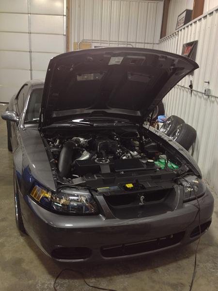 2010-2014 Ford Mustang S-197 Gen II Lets see your latest Pics PHOTO GALLERY-image-1453029515.jpg