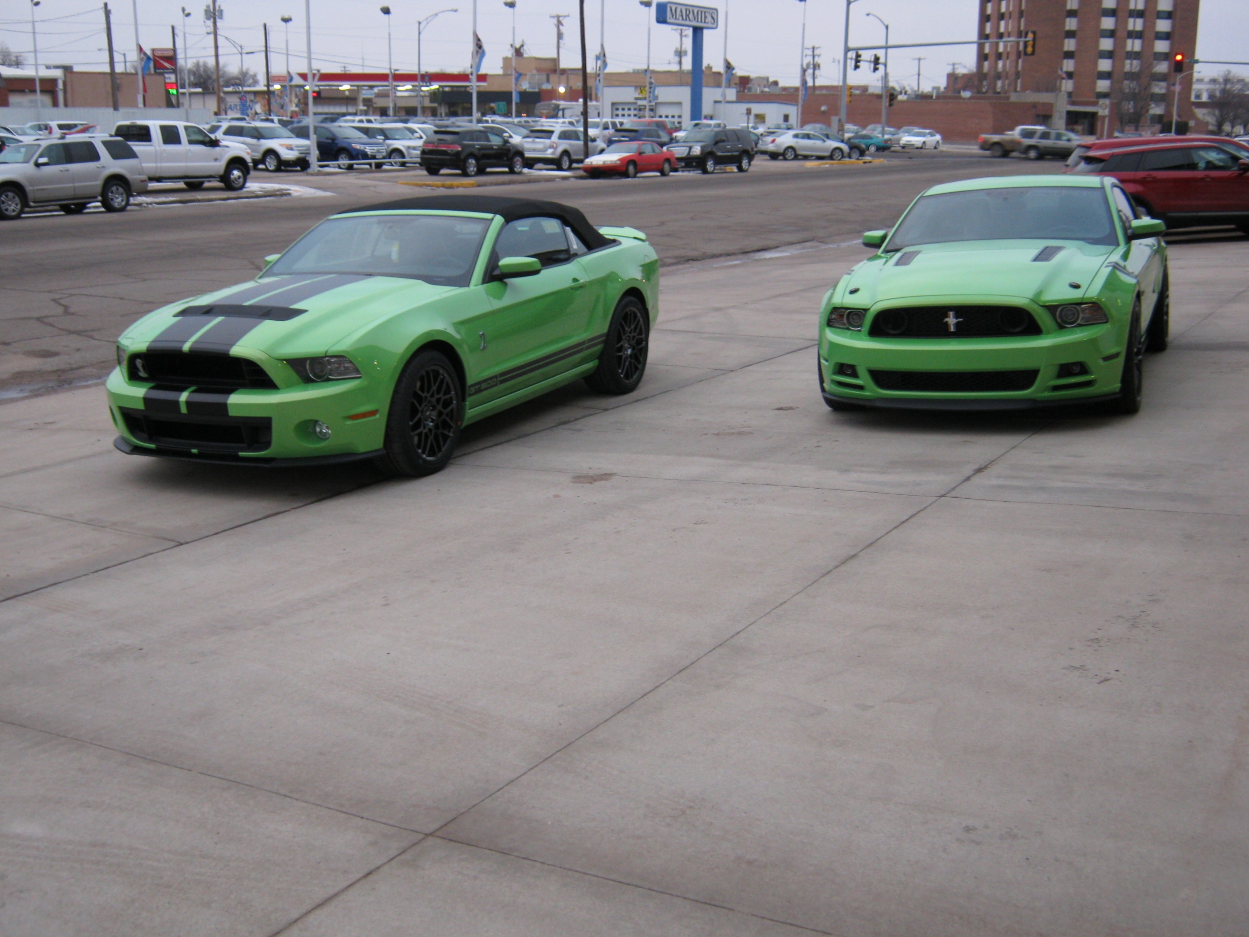 gotta have it green mania 2014 gt500 2013 gt the mustang source ford mustang forums gotta have it green mania 2014 gt500