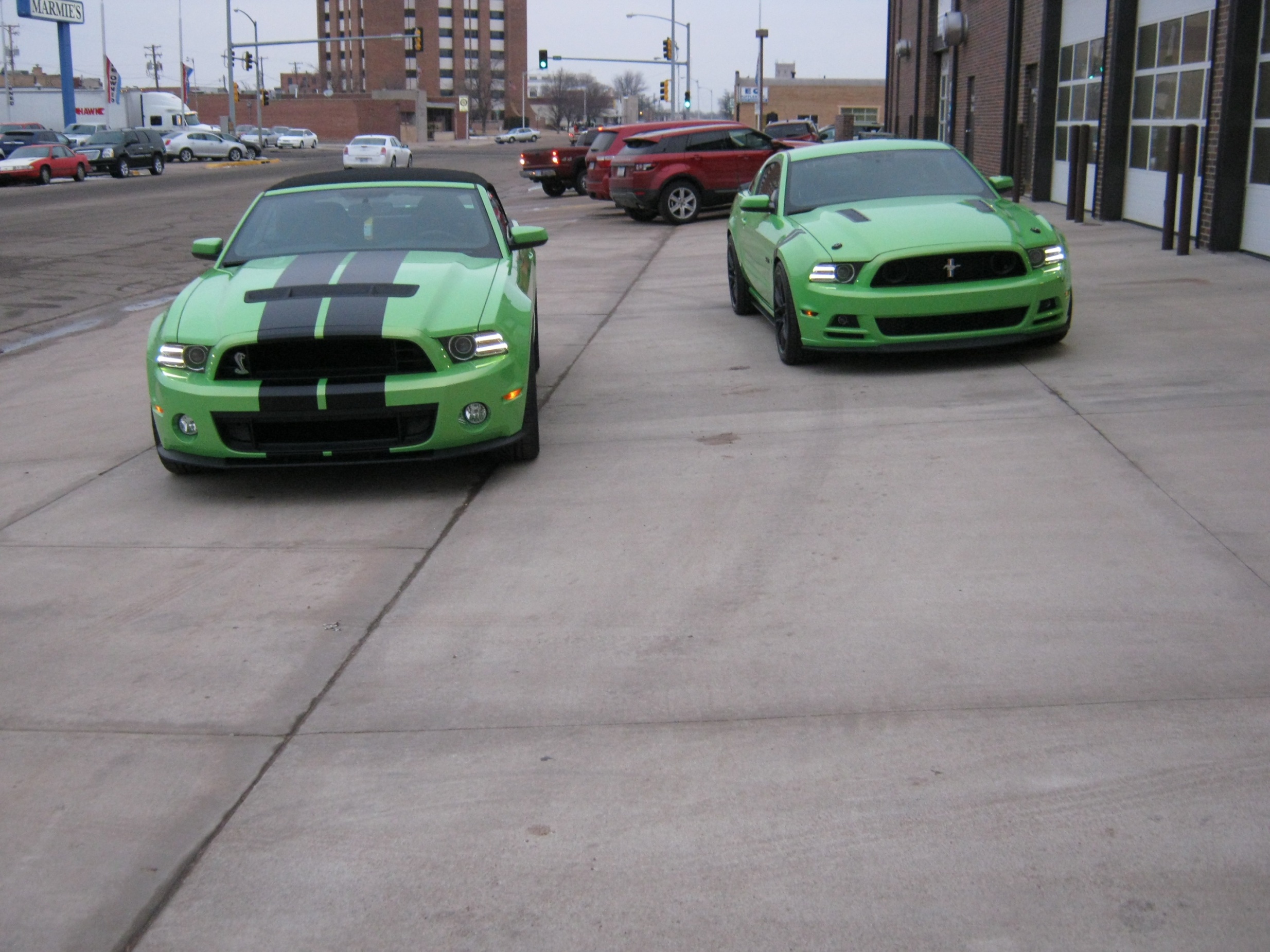 gotta have it green mania 2014 gt500 2013 gt the mustang source ford mustang forums gotta have it green mania 2014 gt500