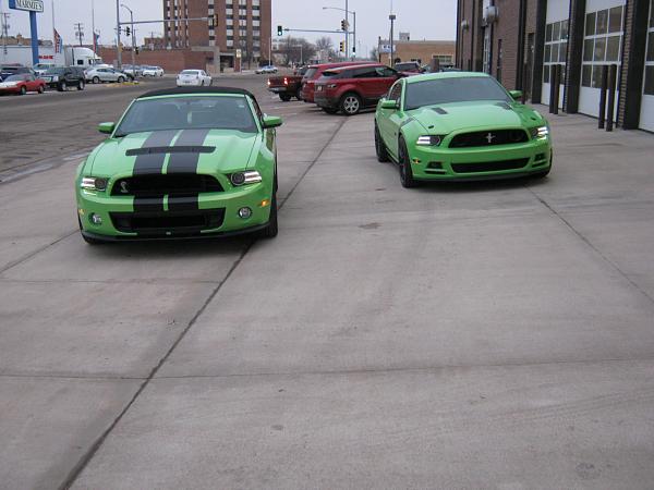 GOTTA HAVE IT GREEN MANIA - 2014 GT500 &amp; 2013 GT-ghig-mania-009.jpg