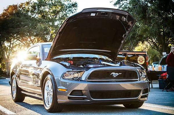 2010-2014 Ford Mustang S-197 Gen II Lets see your latest Pics PHOTO GALLERY-1004956_631000250289732_773214746_n-1-.jpg