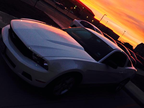 2010-2014 Ford Mustang S-197 Gen II Lets see your latest Pics PHOTO GALLERY-image-3520302674.jpg