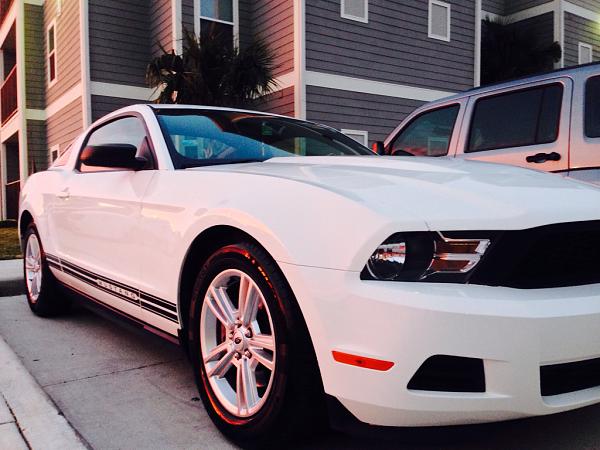 2010-2014 Ford Mustang S-197 Gen II Lets see your latest Pics PHOTO GALLERY-image-1447196899.jpg