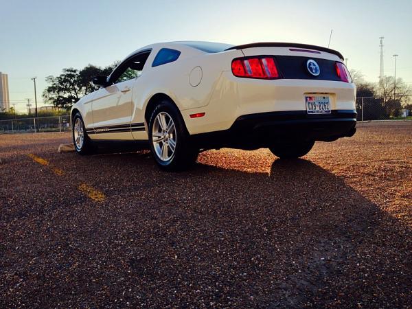 2010-2014 Ford Mustang S-197 Gen II Lets see your latest Pics PHOTO GALLERY-image-3116567657.jpg