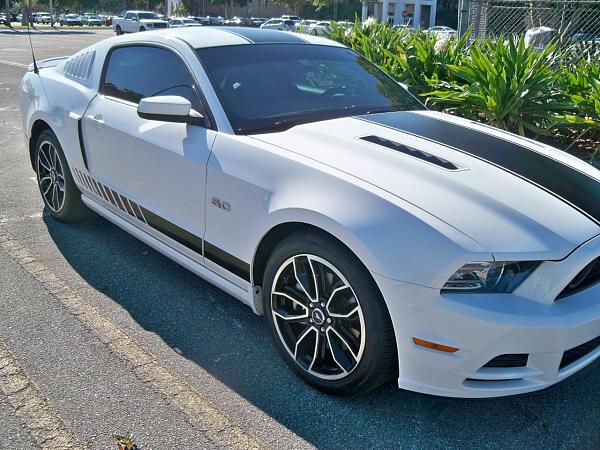 2010-2014 Ford Mustang S-197 Gen II Lets see your latest Pics PHOTO GALLERY-100_5327.jpg