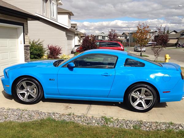 2010-2014 Ford Mustang S-197 Gen II Lets see your latest Pics PHOTO GALLERY-image-2098144897.jpg
