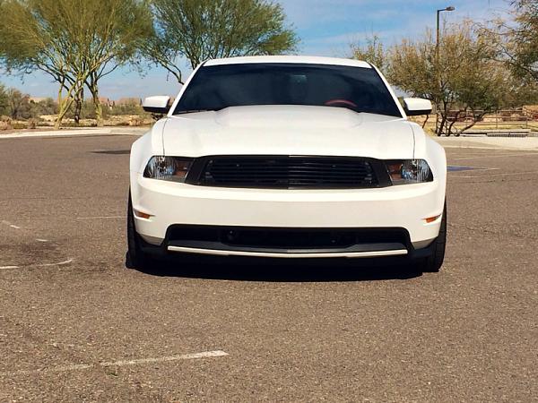 2010-2014 Ford Mustang S-197 Gen II Lets see your latest Pics PHOTO GALLERY-image-2709111445.jpg