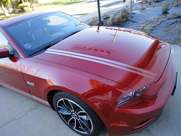 2010-2014 Ford Mustang S-197 Gen II Lets see your latest Pics PHOTO GALLERY-dsc03365.jpg