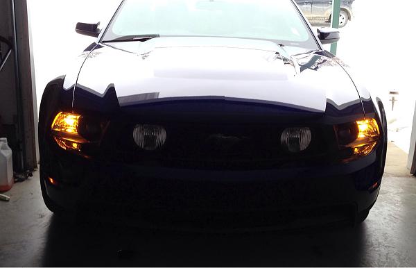 2010-2014 Ford Mustang S-197 Gen II Lets see your latest Pics PHOTO GALLERY-image-1972914026.jpg