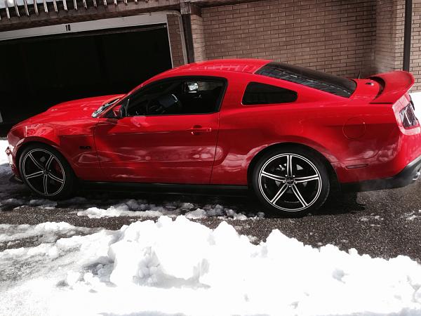 2010-2014 Ford Mustang S-197 Gen II Lets see your latest Pics PHOTO GALLERY-image-908419349.jpg