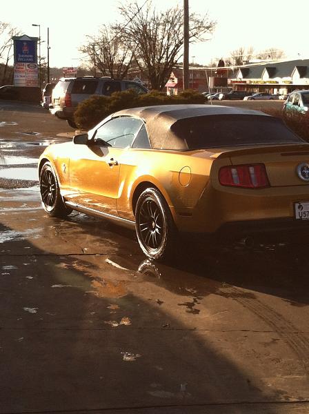 2010-2014 Ford Mustang S-197 Gen II Lets see your latest Pics PHOTO GALLERY-stang-1.jpg