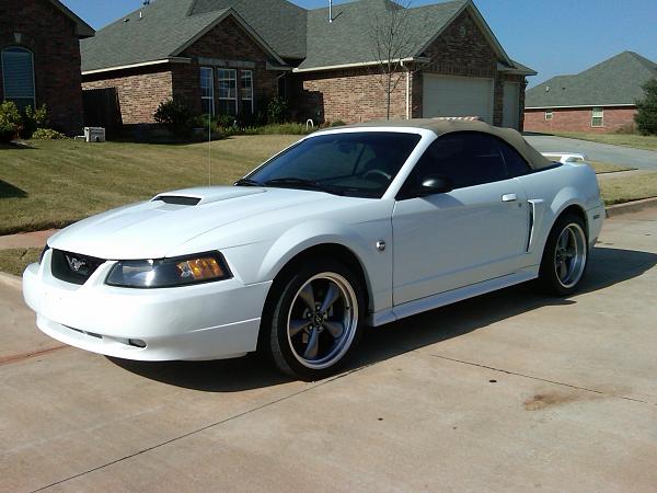 2010-2014 Ford Mustang S-197 Gen II Lets see your latest Pics PHOTO GALLERY-img00083-20091122-1236-1-.jpg