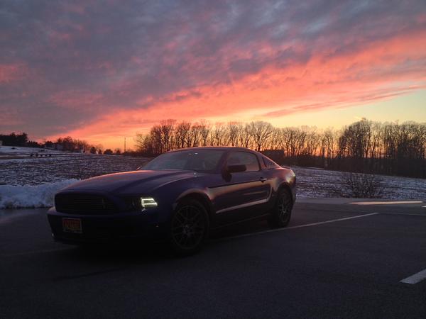 2010-2014 Ford Mustang S-197 Gen II Lets see your latest Pics PHOTO GALLERY-image-1210785101.jpg