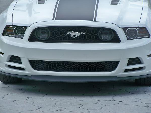 2010-2014 Ford Mustang S-197 Gen II Lets see your latest Pics PHOTO GALLERY-100_5426.jpg