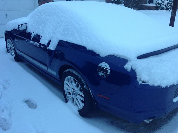 2010-2014 Ford Mustang S-197 Gen II Lets see your latest Pics PHOTO GALLERY-img_3466.jpg