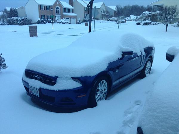 2010-2014 Ford Mustang S-197 Gen II Lets see your latest Pics PHOTO GALLERY-img_3465.jpg