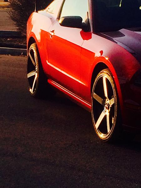 2010-2014 Ford Mustang S-197 Gen II Lets see your latest Pics PHOTO GALLERY-image.jpg