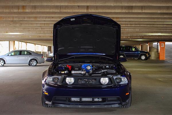 2010-2014 Ford Mustang S-197 Gen II Lets see your latest Pics PHOTO GALLERY-image-1255374533.jpg