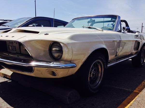 2010-2014 Ford Mustang S-197 Gen II Lets see your latest Pics PHOTO GALLERY-image-922624949.jpg