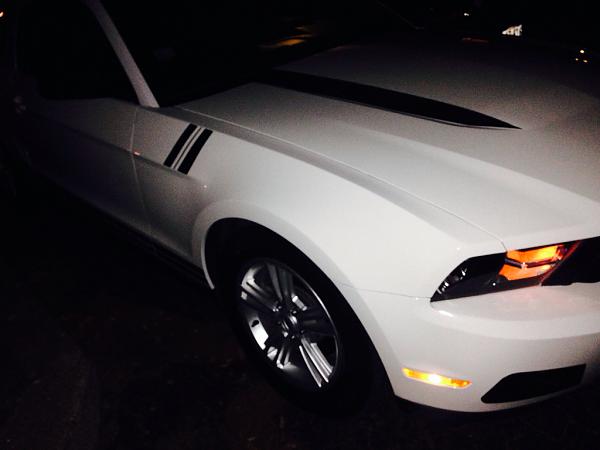 2010-2014 Ford Mustang S-197 Gen II Lets see your latest Pics PHOTO GALLERY-image-1182862331.jpg