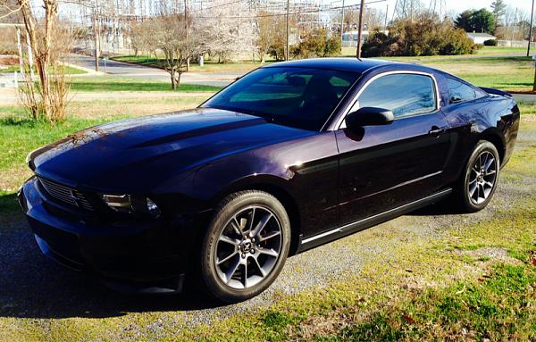 2010-2014 Ford Mustang S-197 Gen II Lets see your latest Pics PHOTO GALLERY-image-4017308861.jpg