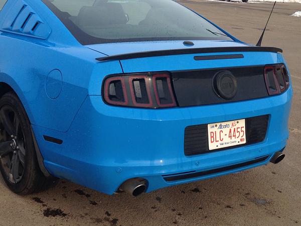 2010-2014 Ford Mustang S-197 Gen II Lets see your latest Pics PHOTO GALLERY-image-3743083821.jpg