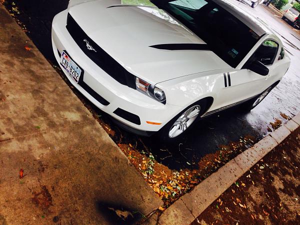 2010-2014 Ford Mustang S-197 Gen II Lets see your latest Pics PHOTO GALLERY-image-662028250.jpg