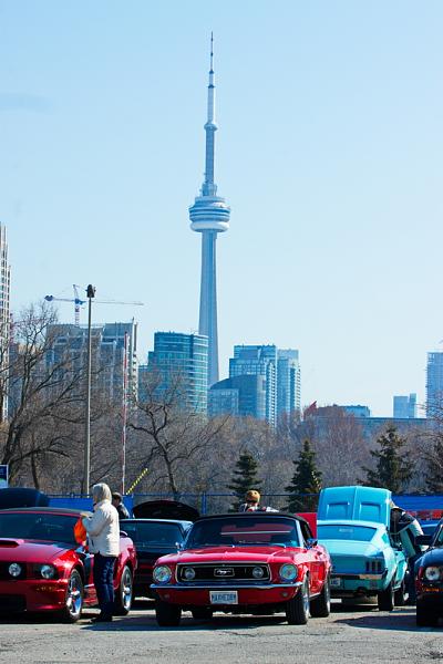 Ford of Canada 50 Anniversary photo shoot.-image-4287710363.jpg