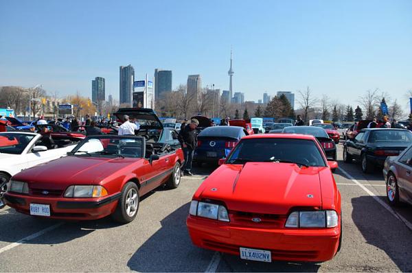 Ford of Canada 50 Anniversary photo shoot.-image-744893775.jpg