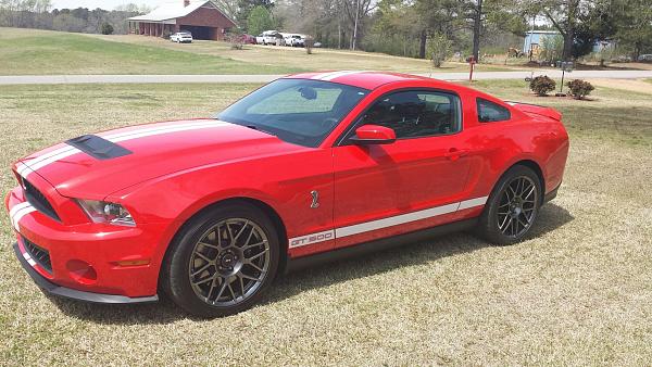 Just Bought Myself a New Mustang-20140405_122706_resized.jpg