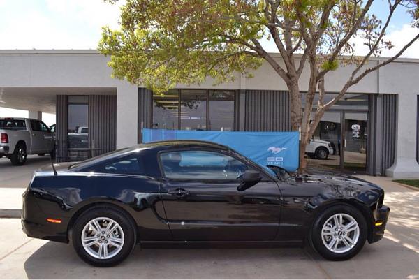 2010-2014 Ford Mustang S-197 Gen II Lets see your latest Pics PHOTO GALLERY-image-999250152.jpg