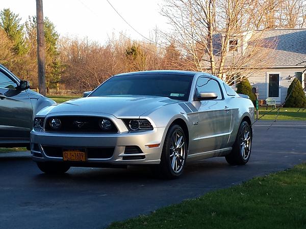 2010-2014 Ford Mustang S-197 Gen II Lets see your latest Pics PHOTO GALLERY-gt.jpg