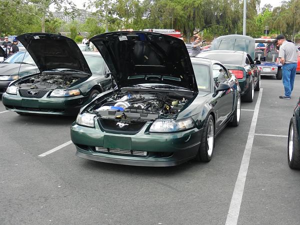 2010-2014 Ford Mustang S-197 Gen II Lets see your latest Pics PHOTO GALLERY-223.jpg