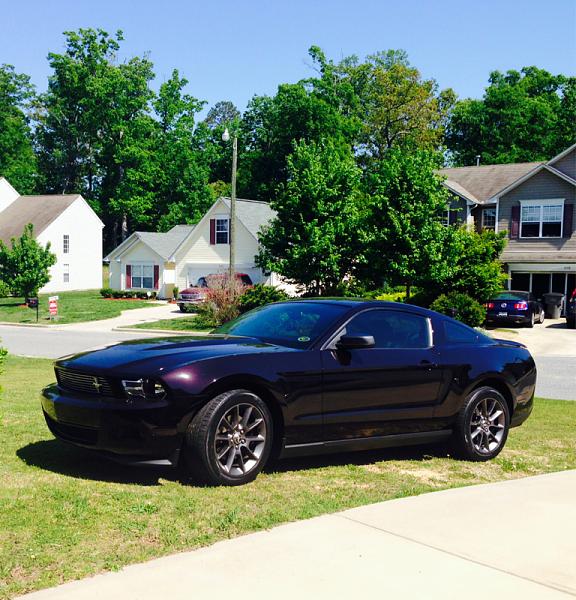 2010-2014 Ford Mustang S-197 Gen II Lets see your latest Pics PHOTO GALLERY-image-1114592110.jpg
