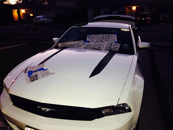 2010-2014 Ford Mustang S-197 Gen II Lets see your latest Pics PHOTO GALLERY-image-2841479670.jpg