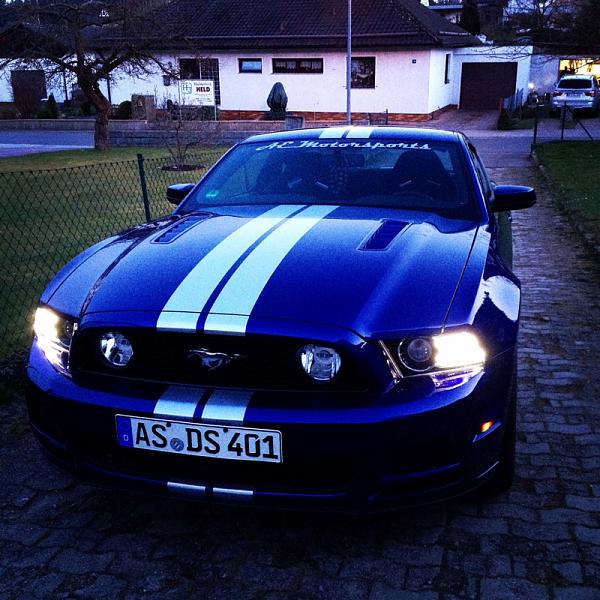 2010-2014 Ford Mustang S-197 Gen II Lets see your latest Pics PHOTO GALLERY-image-3511446601.jpg