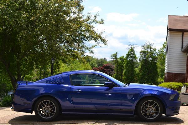 2010-2014 Ford Mustang S-197 Gen II Lets see your latest Pics PHOTO GALLERY-dsc_1094.jpg